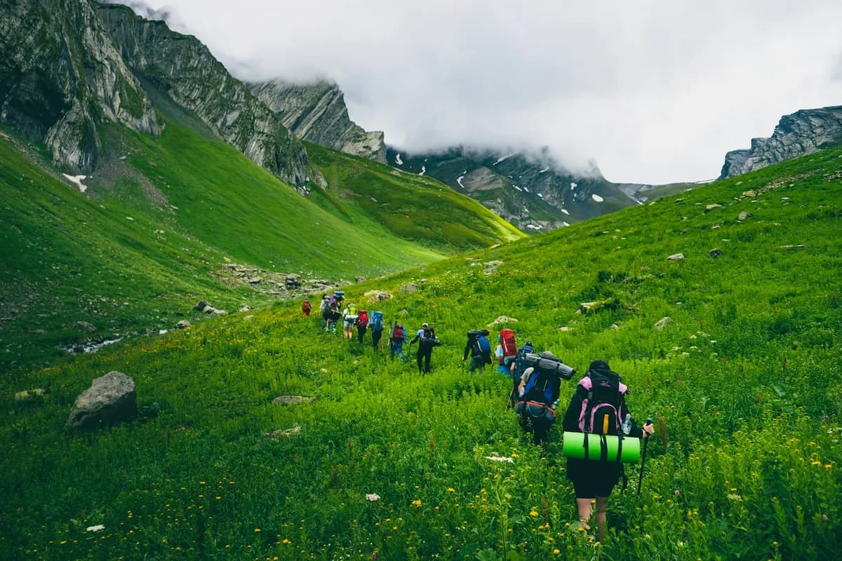 Kolona planinara s ruksacima penje se zelenom planinskom livadom